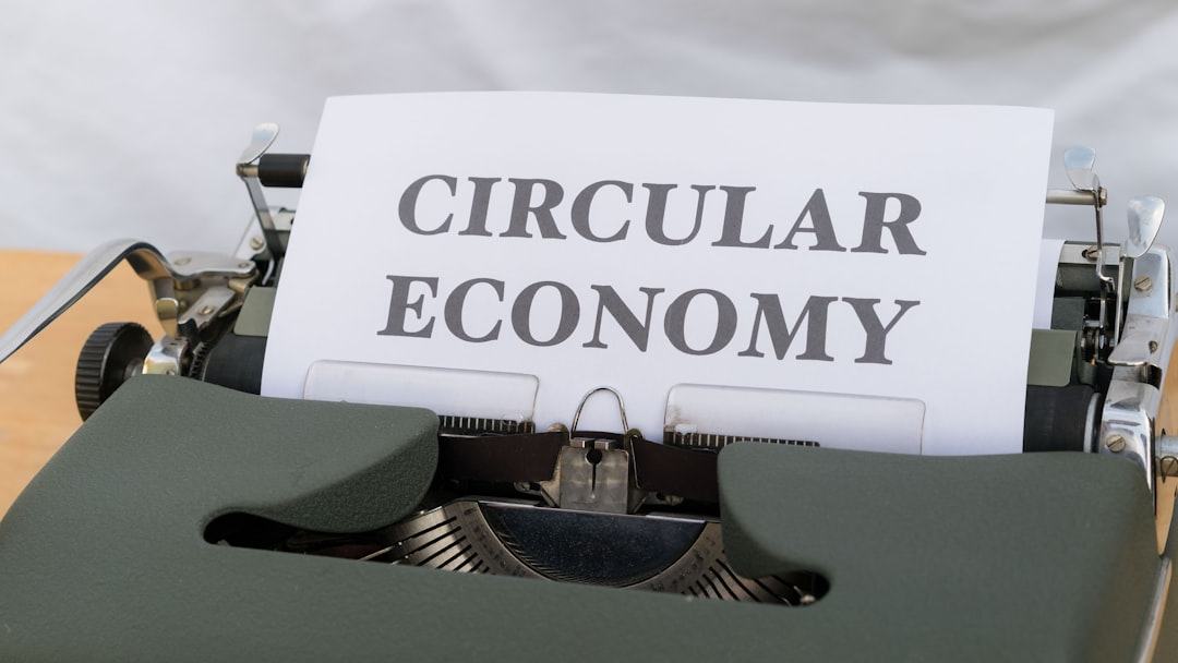 A creator economy entrou na fase adulta?