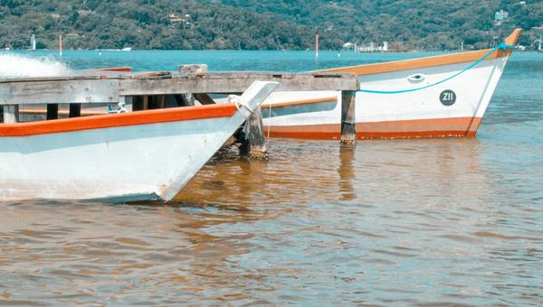 Ação de dividendo é bote salva-vidas em cenário de juro alto? Não é bem assim