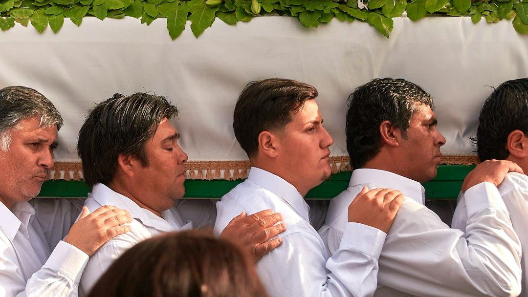 Baleias de luto: por que uma mãe jubarte permaneceu ao lado de seu filhote natimorto