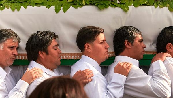 Baleias de luto: por que uma mãe jubarte permaneceu ao lado de seu filhote natimorto