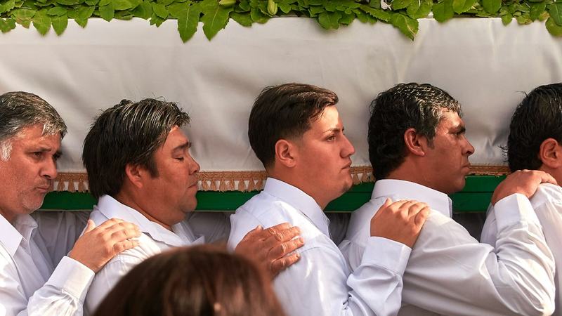 Baleias de luto: por que uma mãe jubarte permaneceu ao lado de seu filhote natimorto