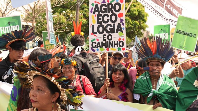 Brasil teve 19 candidatos indígenas de extrema-direita entre 2018 e 2026