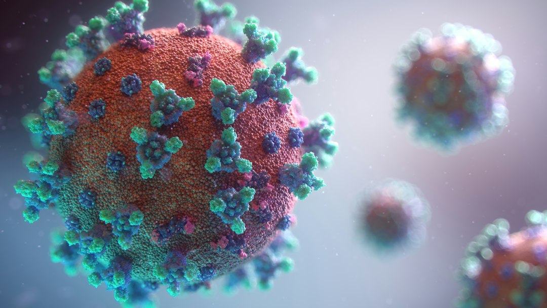 Caso Lito Sousa: o que faz a proteína prion ficar infecciosa? Novo estudo mostra que depende de onde ela está