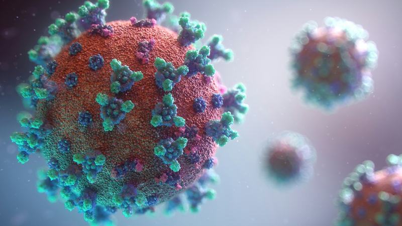 Caso Lito Sousa: o que faz a proteína prion ficar infecciosa? Novo estudo mostra que depende de onde ela está