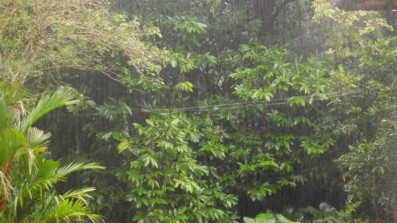 Ciência e transparência: como transformar dados climáticos em ação