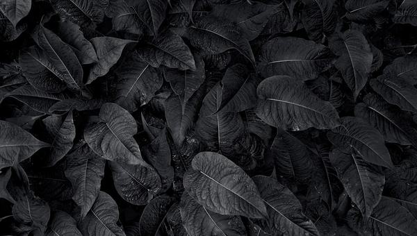 Como criar o preto mais escuro, da natureza à nanotecnologia