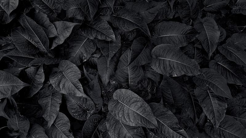 Como criar o preto mais escuro, da natureza à nanotecnologia