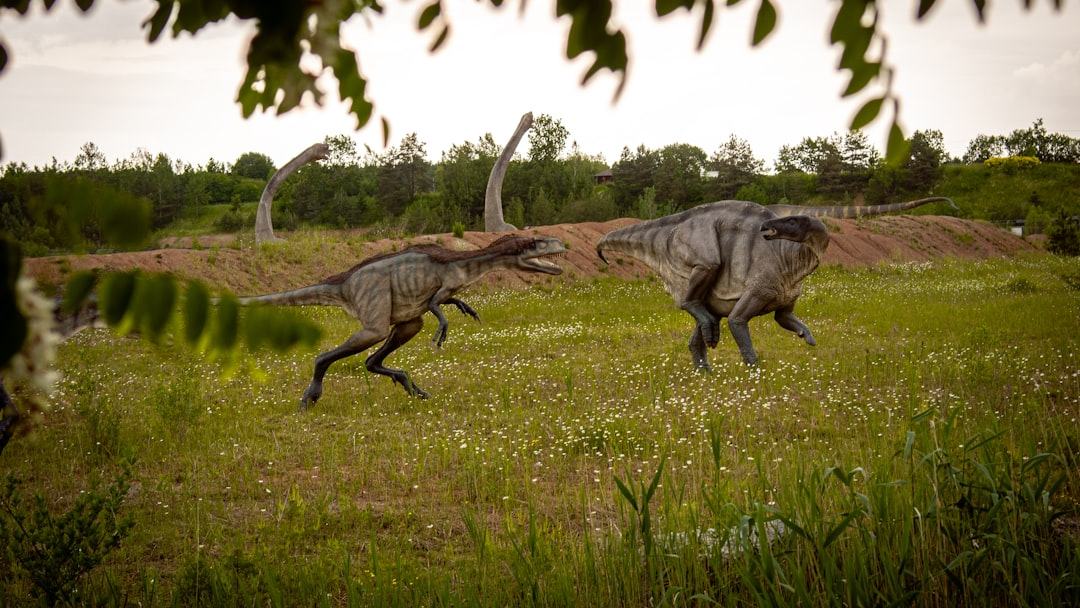 Como o “primeiro pássaro” levantava voo sobre os dinossauros
