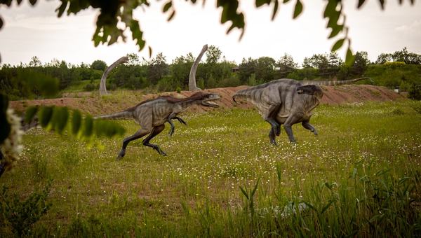 Como o “primeiro pássaro” levantava voo sobre os dinossauros