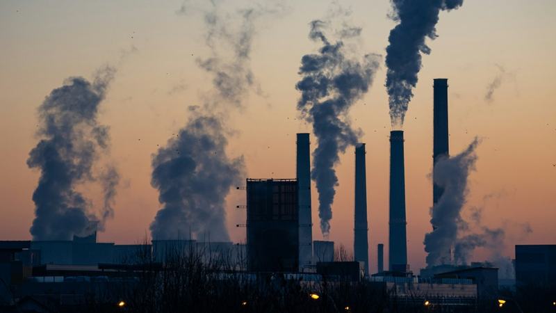 Ecotoxicologia: o estudo dos efeitos da poluição na saúde e no ambiente luta por reconhecimento no Brasil