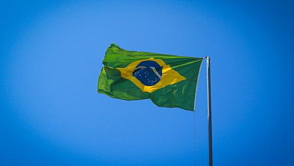 Elections in Brazil: a subdued, digital campaign heightens uncertainty about the results