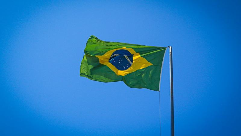 Elections in Brazil: a subdued, digital campaign heightens uncertainty about the results