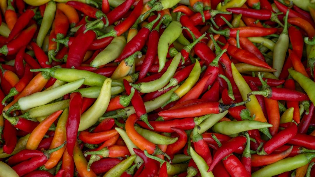 Experiência da Pimenta Baniwa mostra a importância de uma bioeconomia sustentável