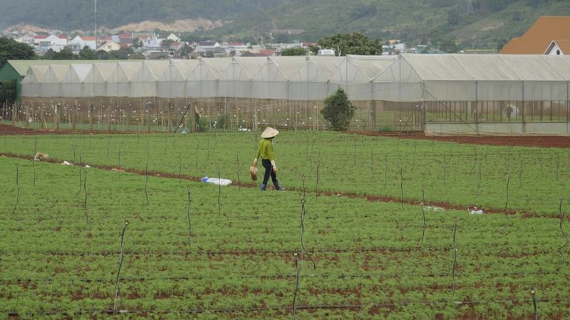 IA amplia margem e produtividade, mas inflação segue como maior risco, dizem gestores