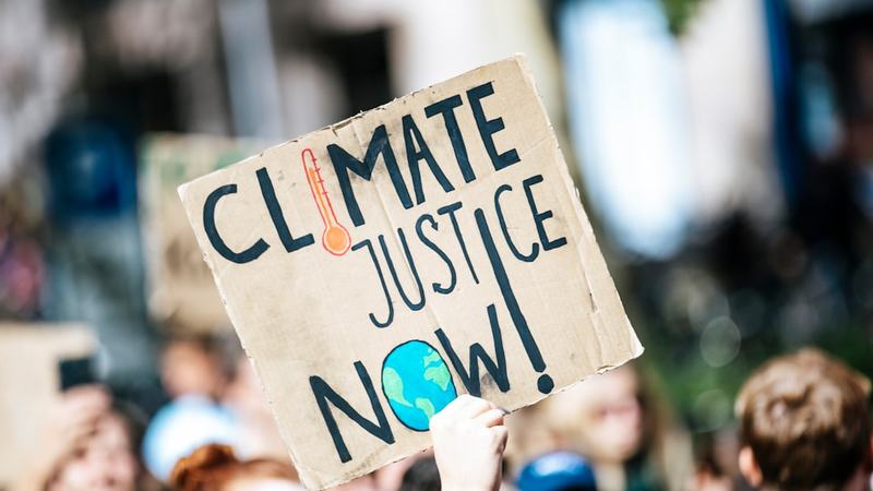 Impacto das mudanças climáticas pode equivaler a 3,3 milhões de anos de transformações nas vegetações tropicais