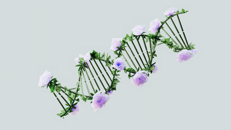 Lagartos assexuados, nascimentos virginais e clones: as espécies exclusivamente femininas do reino animal