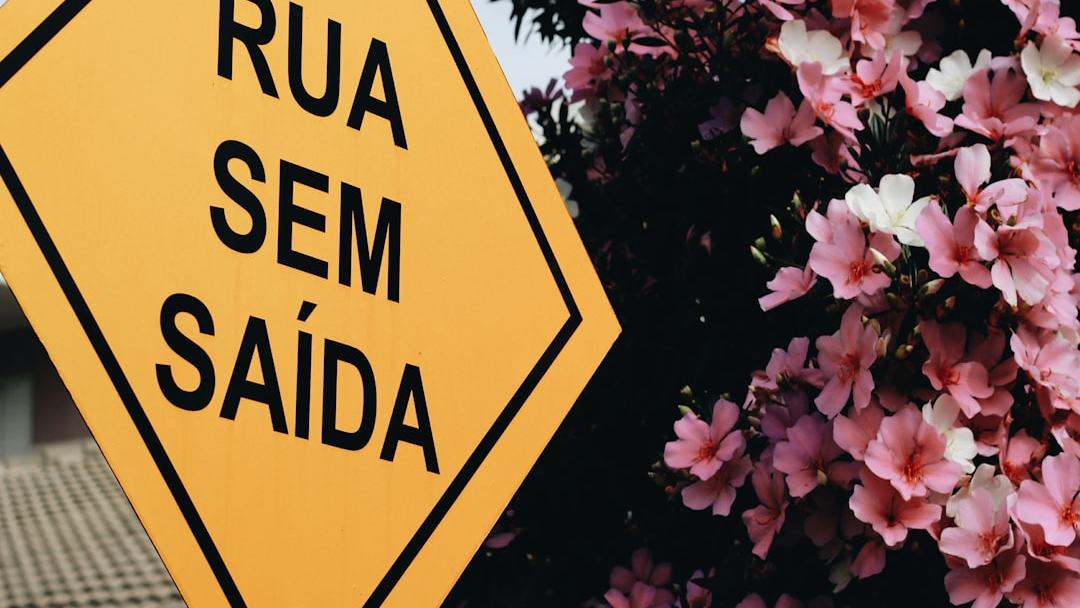 “Livro Amarelo”: a doutrina que Renan Santos diz ser a base do projeto do Missão