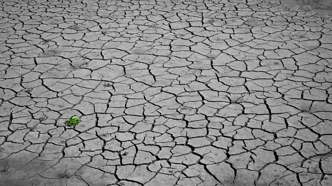 ‘Mudanças climáticas’ ou ‘mudança climática’? Por que a diferença entre singular e plural faz diferença