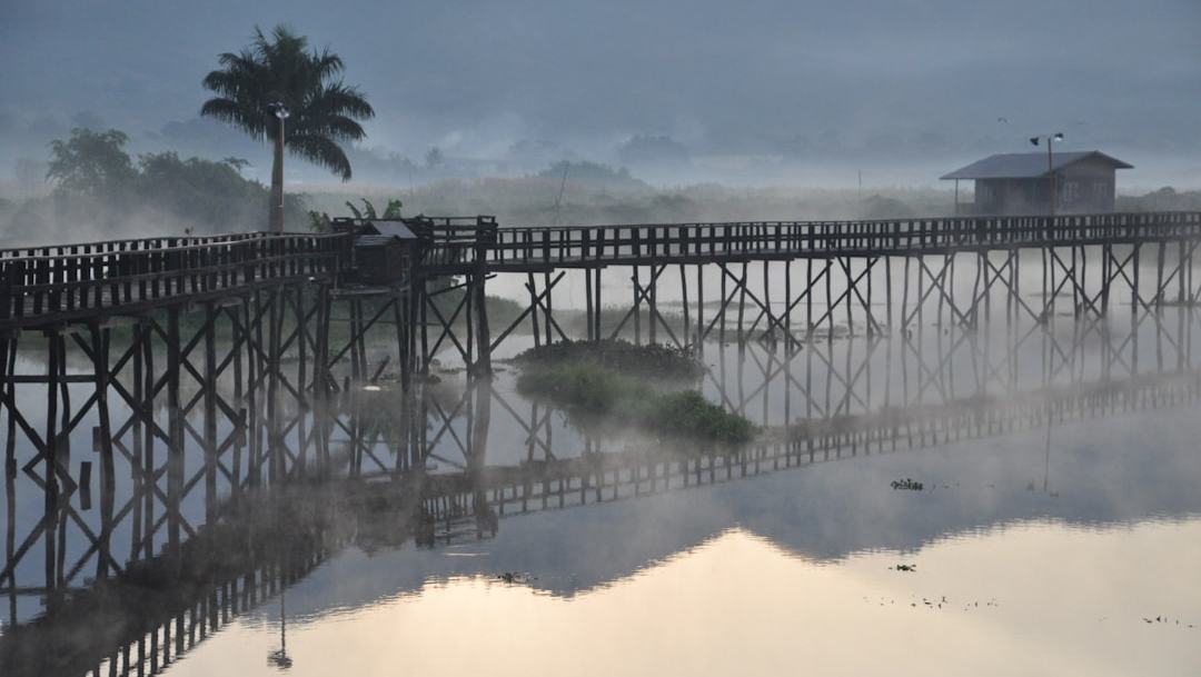 Neblina amazônica: uma ponte invisível e importante entre o clima e a biodiversidade