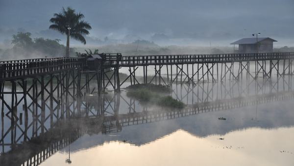 Neblina amazônica: uma ponte invisível e importante entre o clima e a biodiversidade