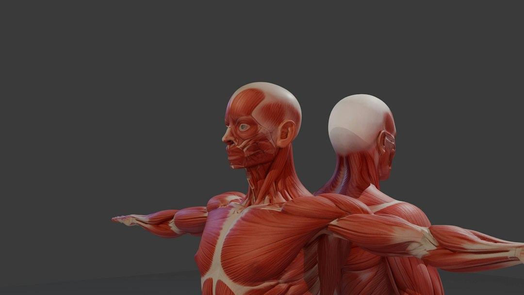 O que os movimentos do corpo podem revelar sobre os níveis de ansiedade?