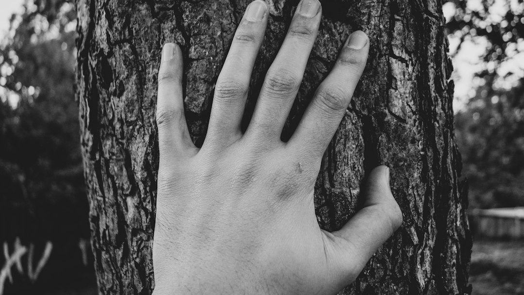 Onde cada árvore esconde um “inimigo”: como a paranoia se aprofundou na China