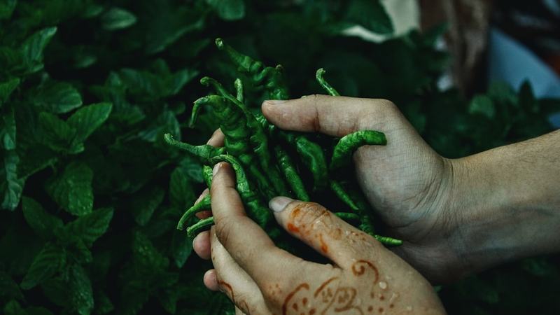 Química verde: Como transformar henna em compostos bioativos sem poluir