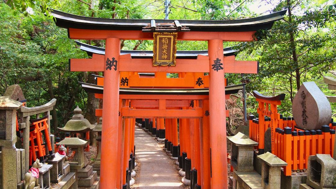 Seca, turismo e disputa comercial: como o Japão foi da falta ao excesso de arroz