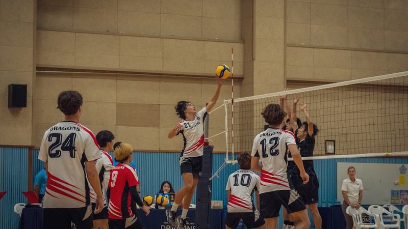 VNL 2026: horário e onde assistir ao jogo de vôlei feminino Turquia x Canadá nas quartas