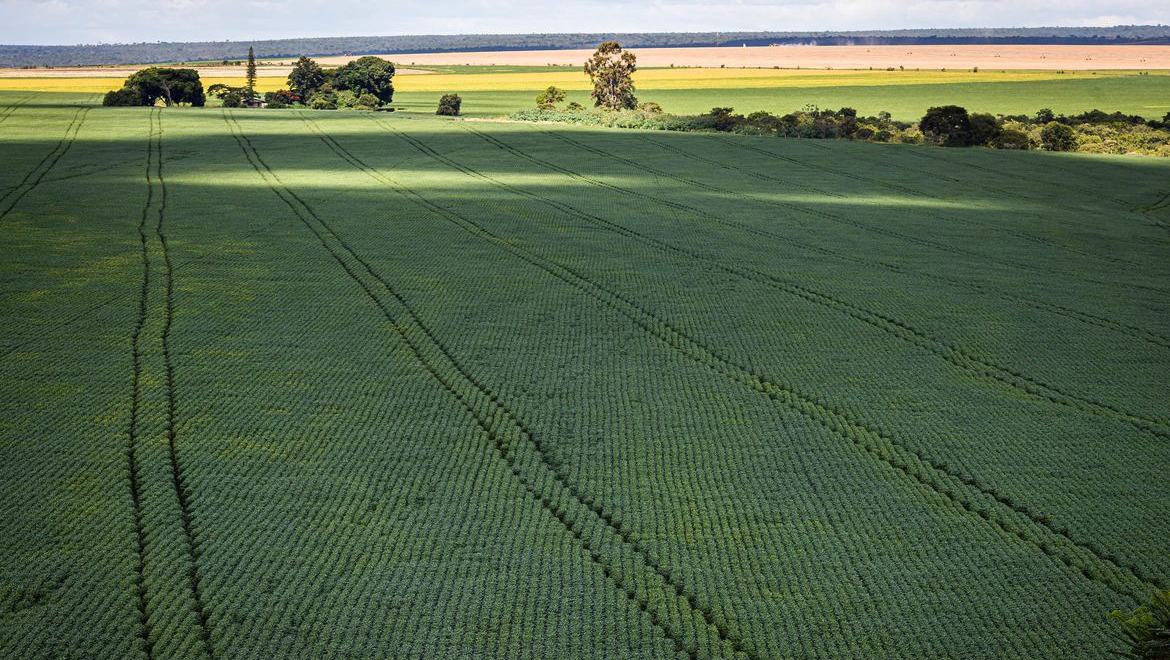 CMN amplia renegociação de dívidas rurais ligadas a eventos climáticos