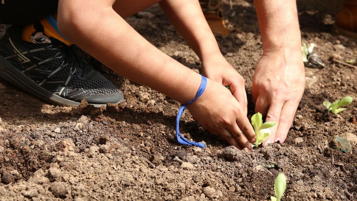 Entidades pedem apoio de candidatos em defesa da agroecologia