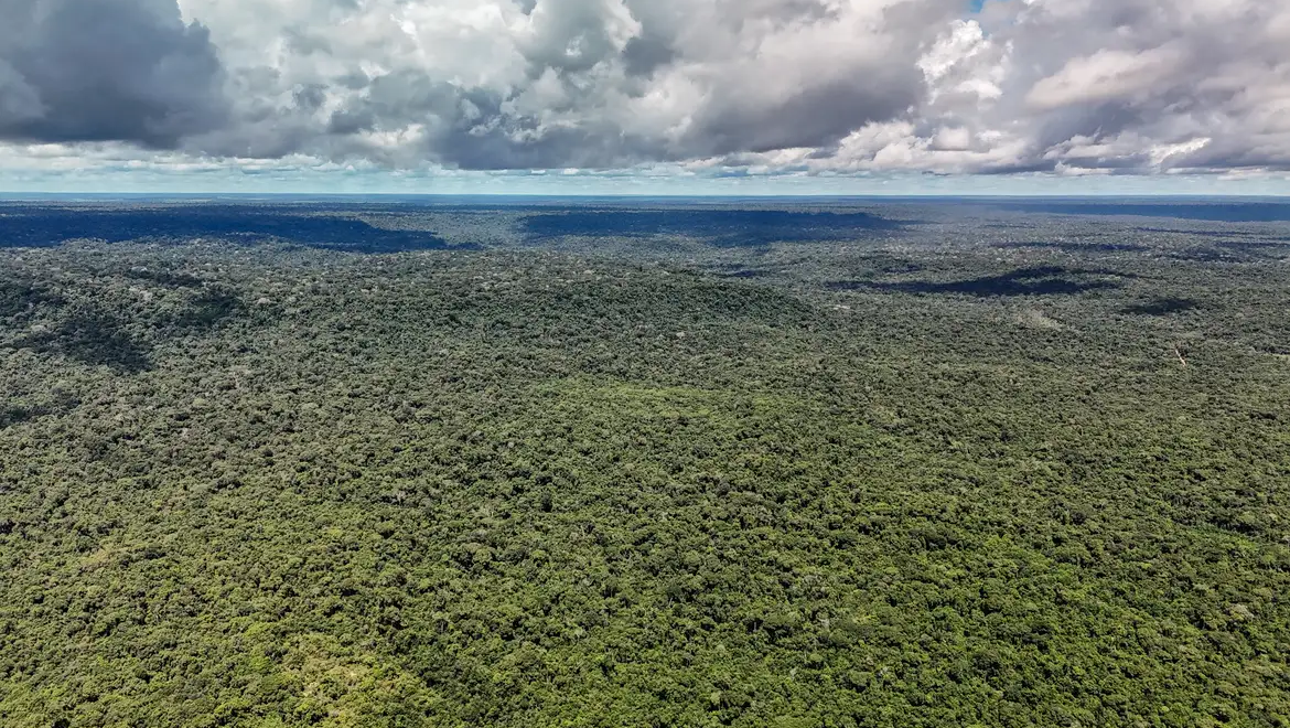 Fazenda autoriza crédito de US$ 1 bilhão do BID para Eco Invest Brasil