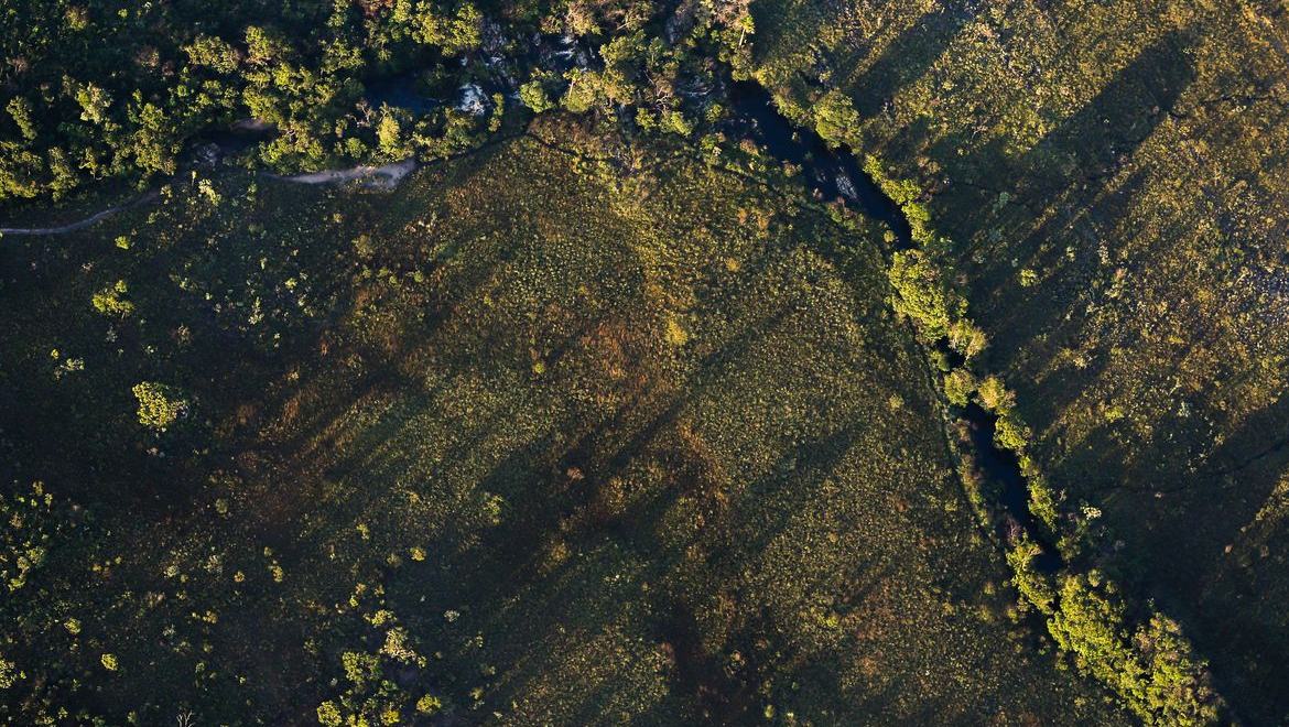 Financiamentos de projetos rurais sustentáveis terão juros mais baixos